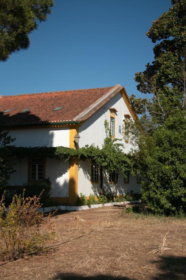 Quinta De Santana Da Varzea Abrantes Exteriör bild
