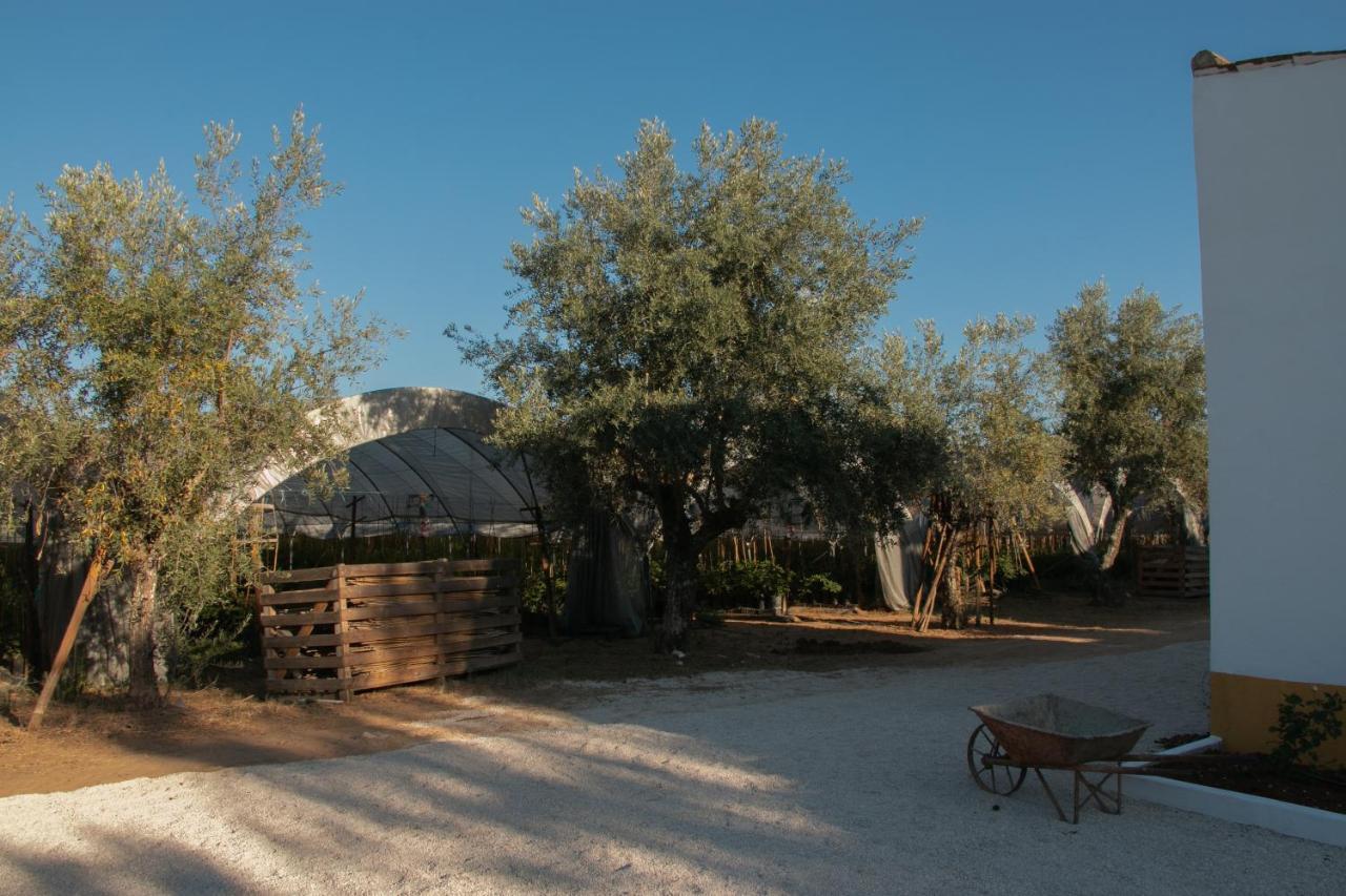 Quinta De Santana Da Varzea Abrantes Exteriör bild