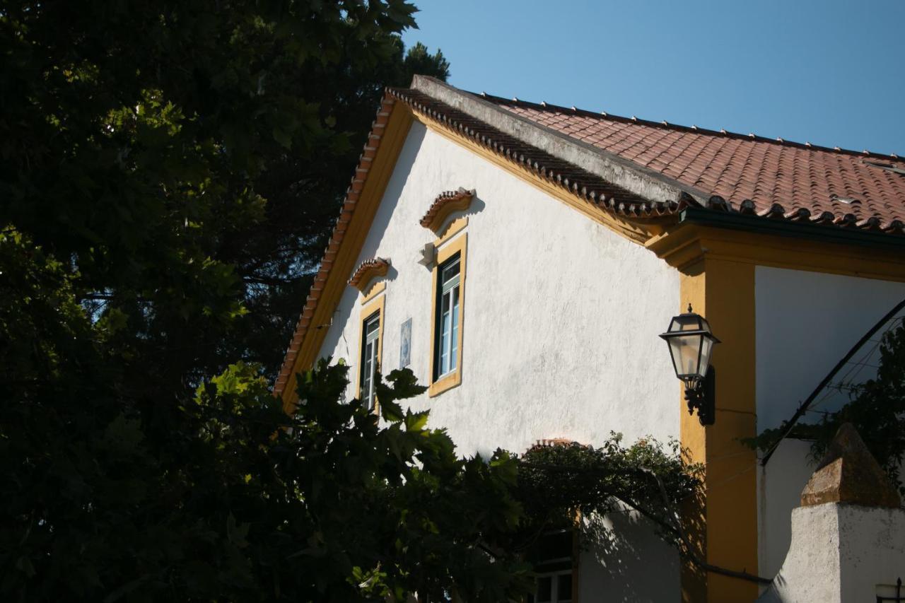 Quinta De Santana Da Varzea Abrantes Exteriör bild