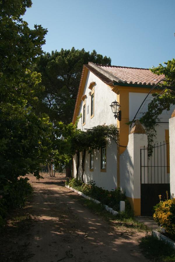 Quinta De Santana Da Varzea Abrantes Exteriör bild