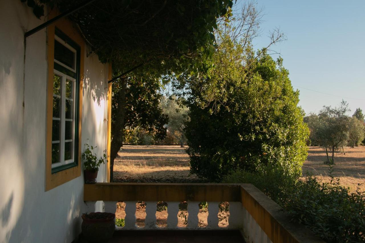 Quinta De Santana Da Varzea Abrantes Exteriör bild
