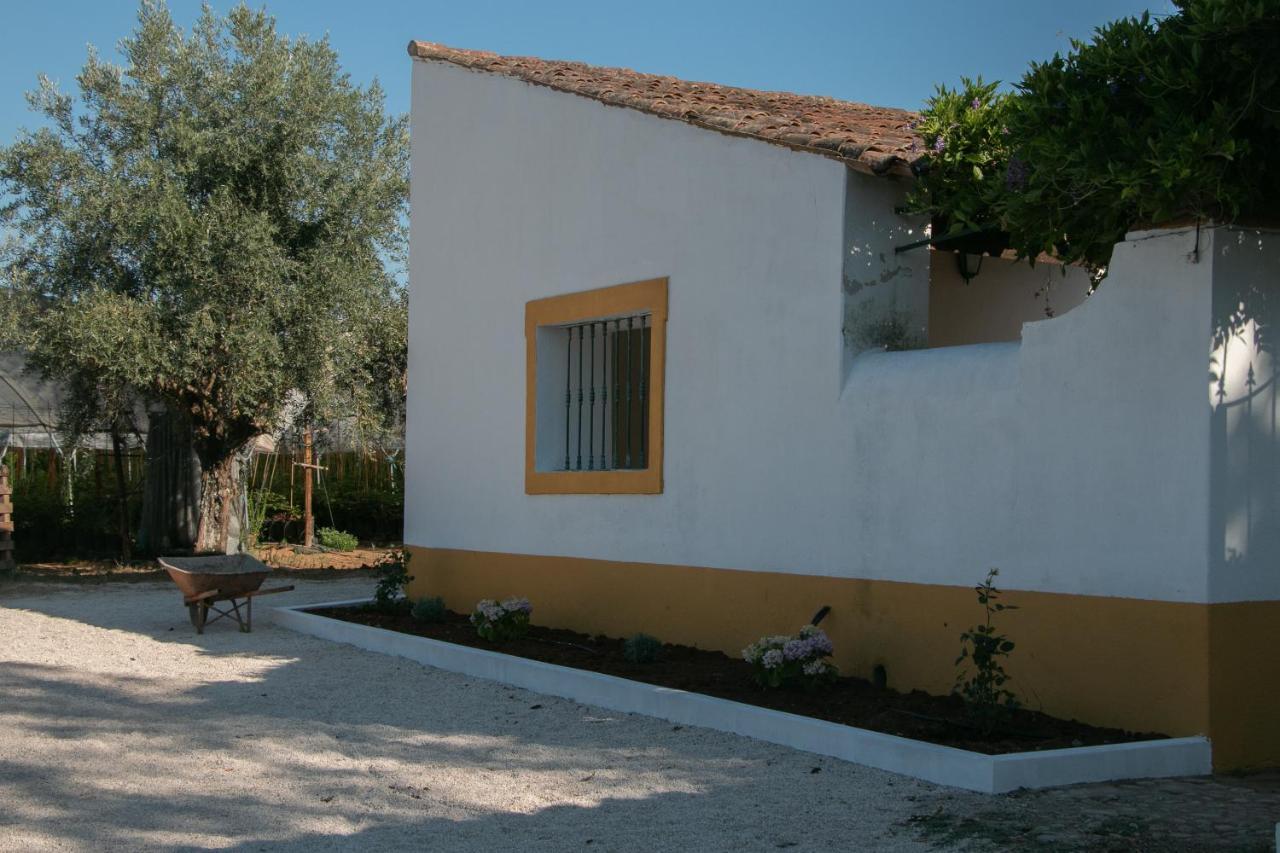 Quinta De Santana Da Varzea Abrantes Exteriör bild