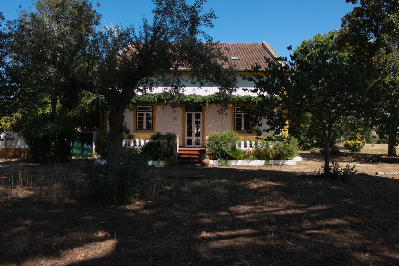 Quinta De Santana Da Varzea Abrantes Exteriör bild
