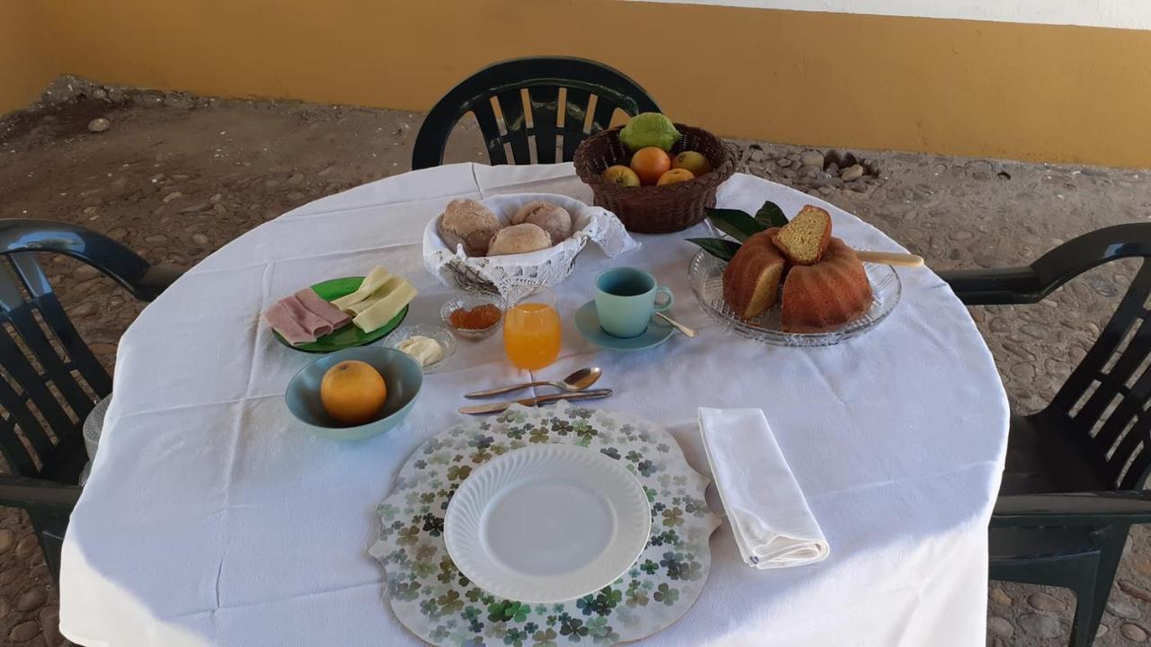 Quinta De Santana Da Varzea Abrantes Exteriör bild