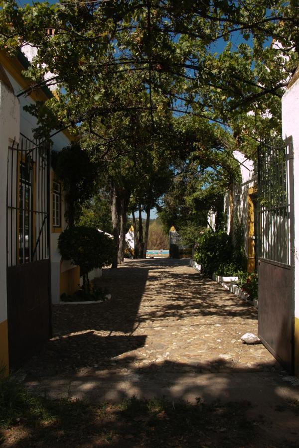 Quinta De Santana Da Varzea Abrantes Exteriör bild