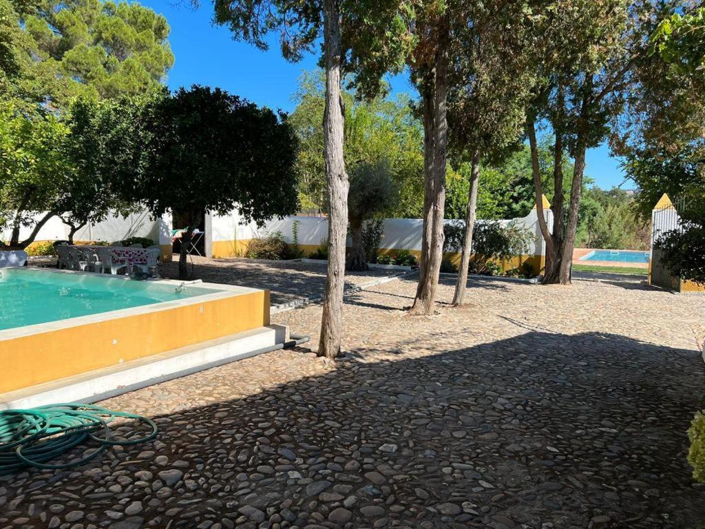 Quinta De Santana Da Varzea Abrantes Exteriör bild
