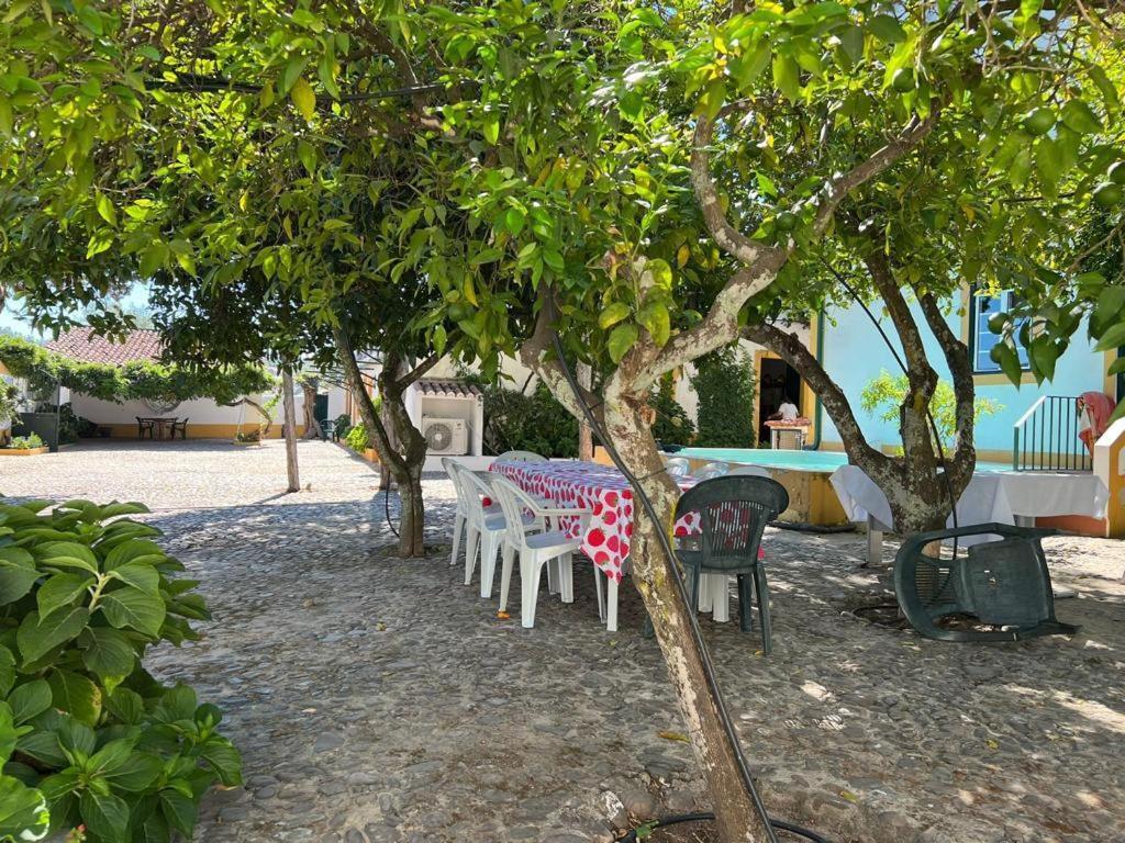 Quinta De Santana Da Varzea Abrantes Exteriör bild