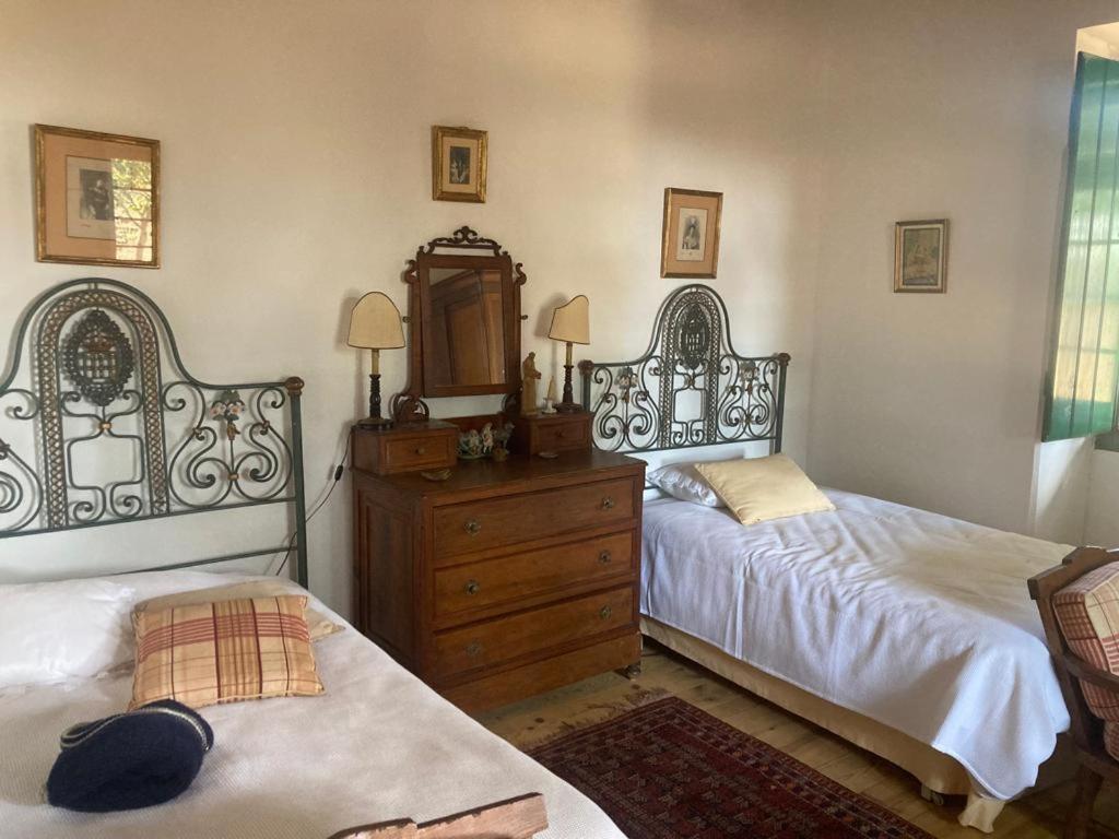 Quinta De Santana Da Varzea Abrantes Rum bild